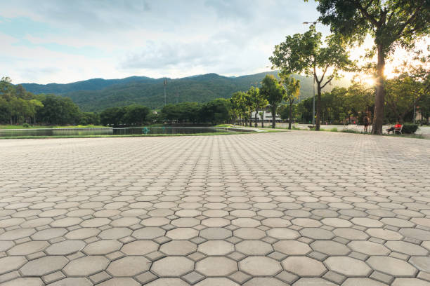 Best Residential Paver Driveway  in Kempner, TX